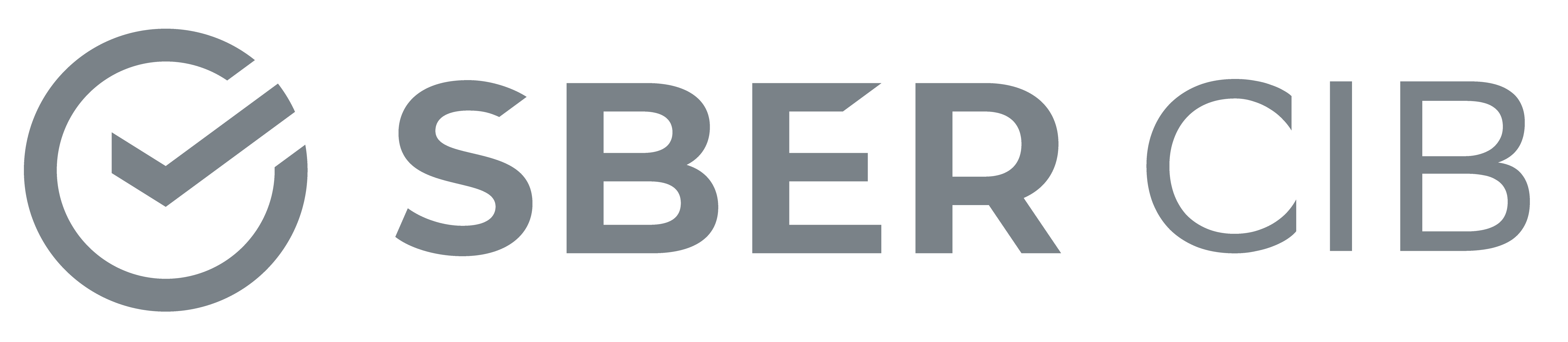 Sber CIB 2025